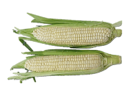 Corn, White